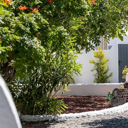 Blue Life 4* Emporio (Santorini)